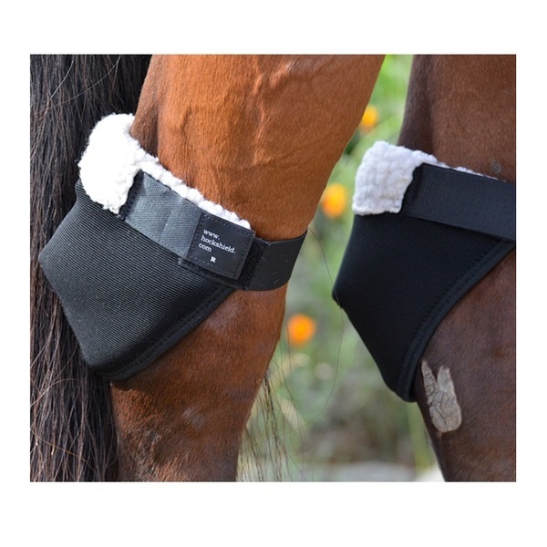 Click Horse Products Click Hock Shields XL/DRAFT 4274-XL